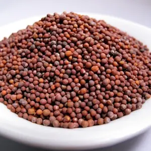 broccoli microgreen seeds