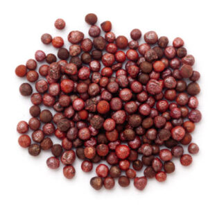 cabbage microgreen seeds