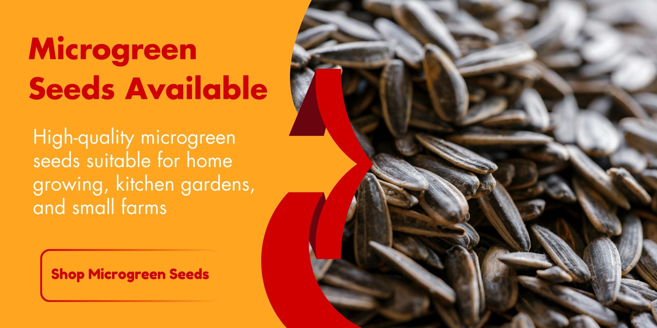 microgreens seeds available freshiimicrogreens thanjavur