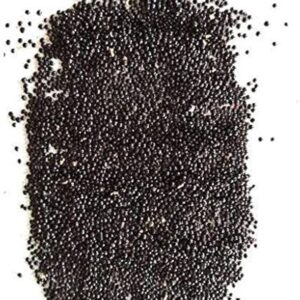 red amaranth microgreen seeds