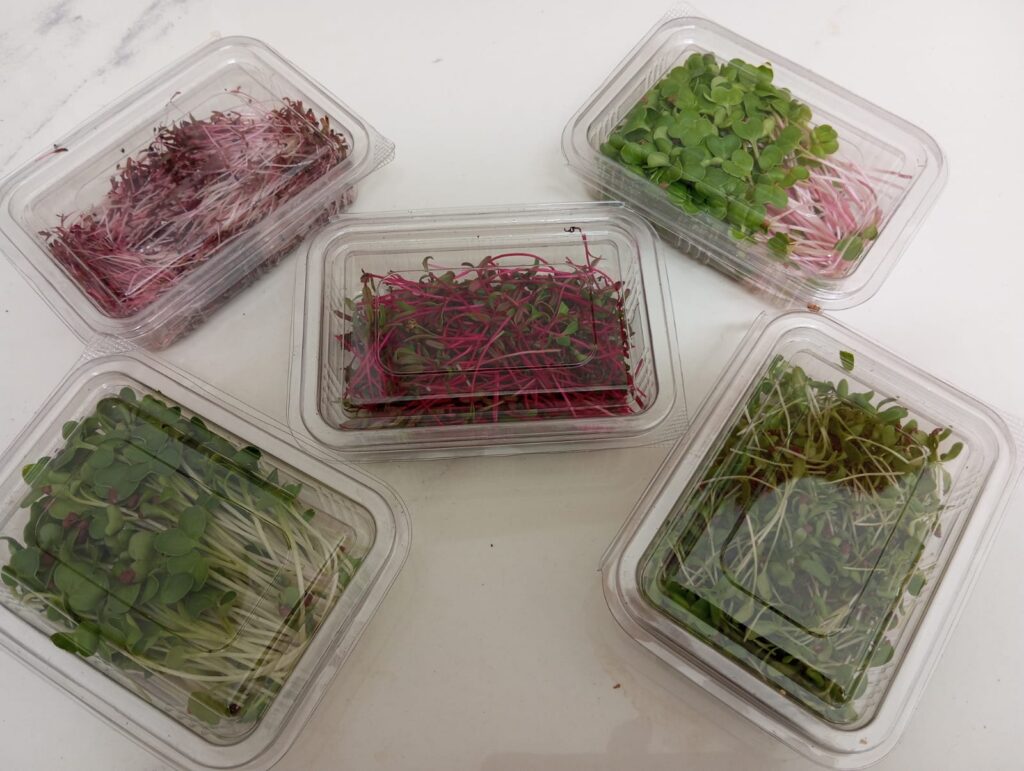 freshiimicrogreens aboutus thanjavur