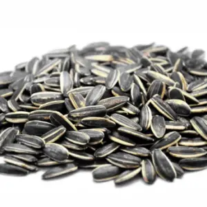 sunflower microgreen seeds